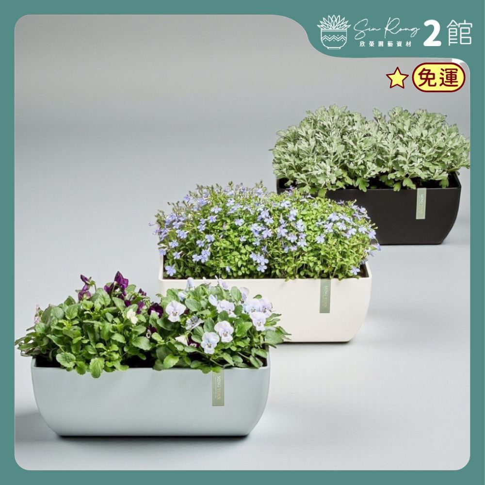 欣榮二館免運】高質感38cm長槽花盆MY 底盤可加購長型花盆多肉盆香草盆