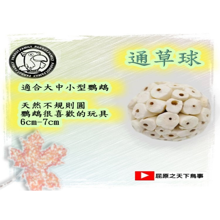 天然索拉球/天然通草球/松果球/玉米草球/鸚鵡玩具/龍貓玩具...