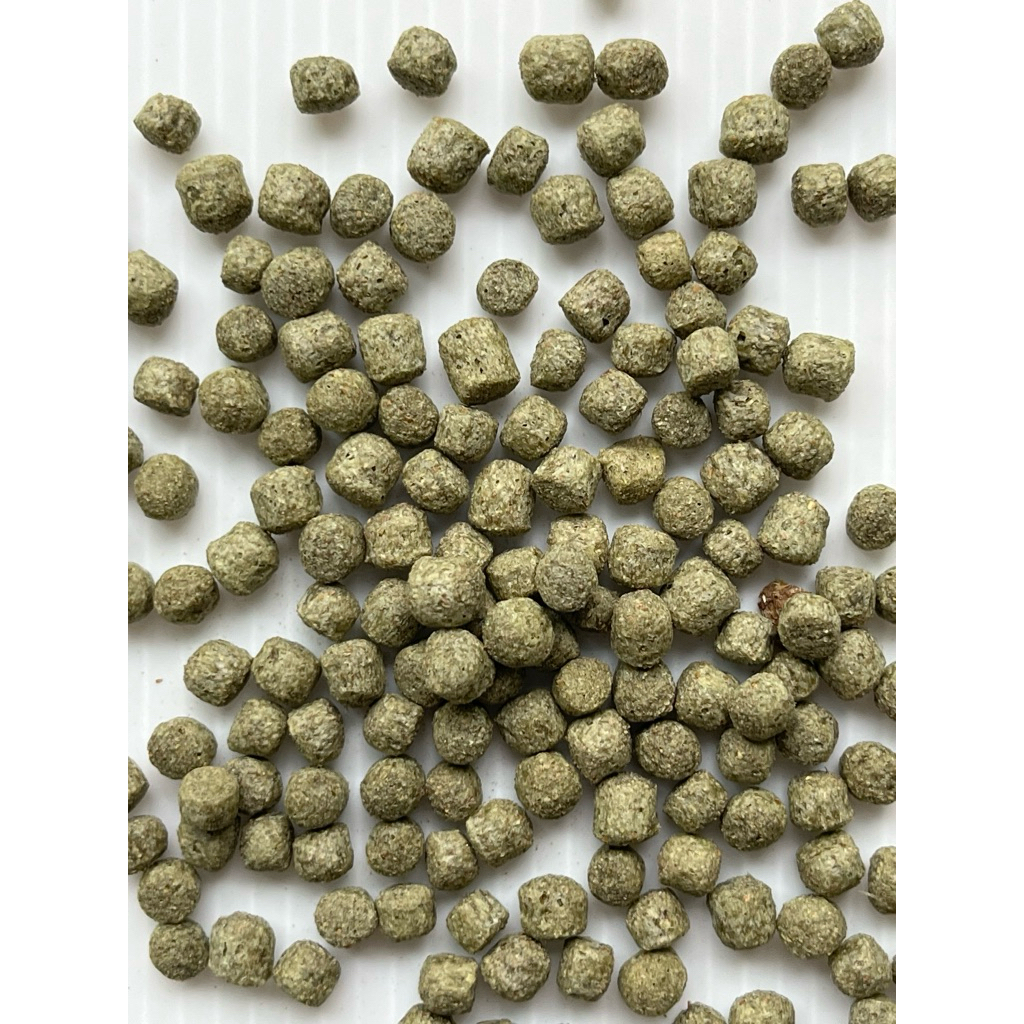 [苔之坊]藍型黑叉（閩南）亞成飼料。4.0。蓋斑鬥魚飼料 | 蝦皮購物