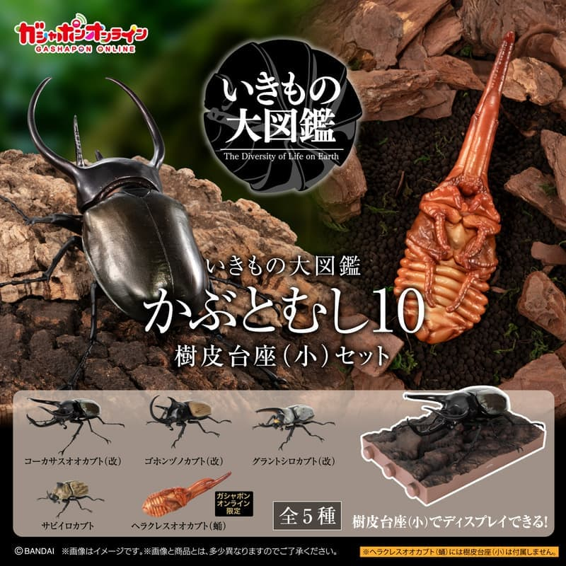 (BANDAI)預購26年3月 代理版 生物大圖鑑 獨角仙10 附樹皮底座(小) 盒玩 中盒5入 (酷比樂) | 蝦皮購物