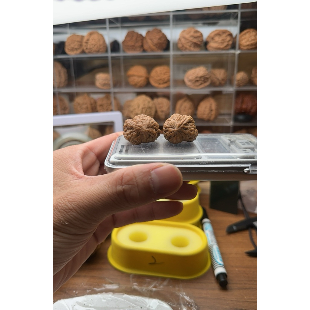 a1586 南疆石 趴子蛇頭小手捻 | 蝦皮購物