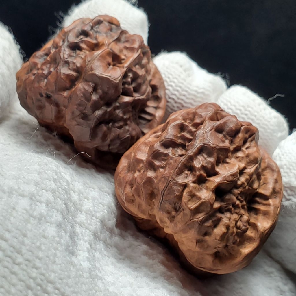 媽我在玩的不是吃的核桃啦, 線上商店| 蝦皮購物