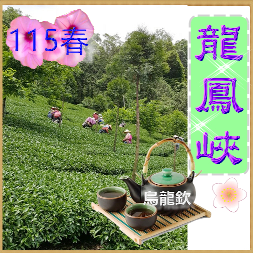 壺說茶道【烏龍欽】台灣高山茶產地零售批發（大禹嶺梨山杉林溪阿里山