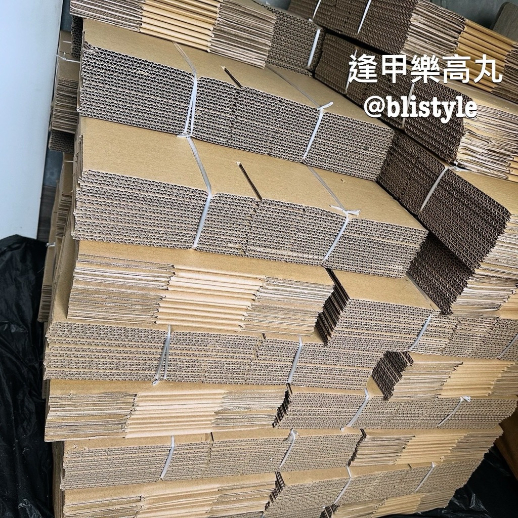 樂高丸】樂高LEGO 40648 金錢樹搖錢樹發財樹招財樹Money Tree｜新年