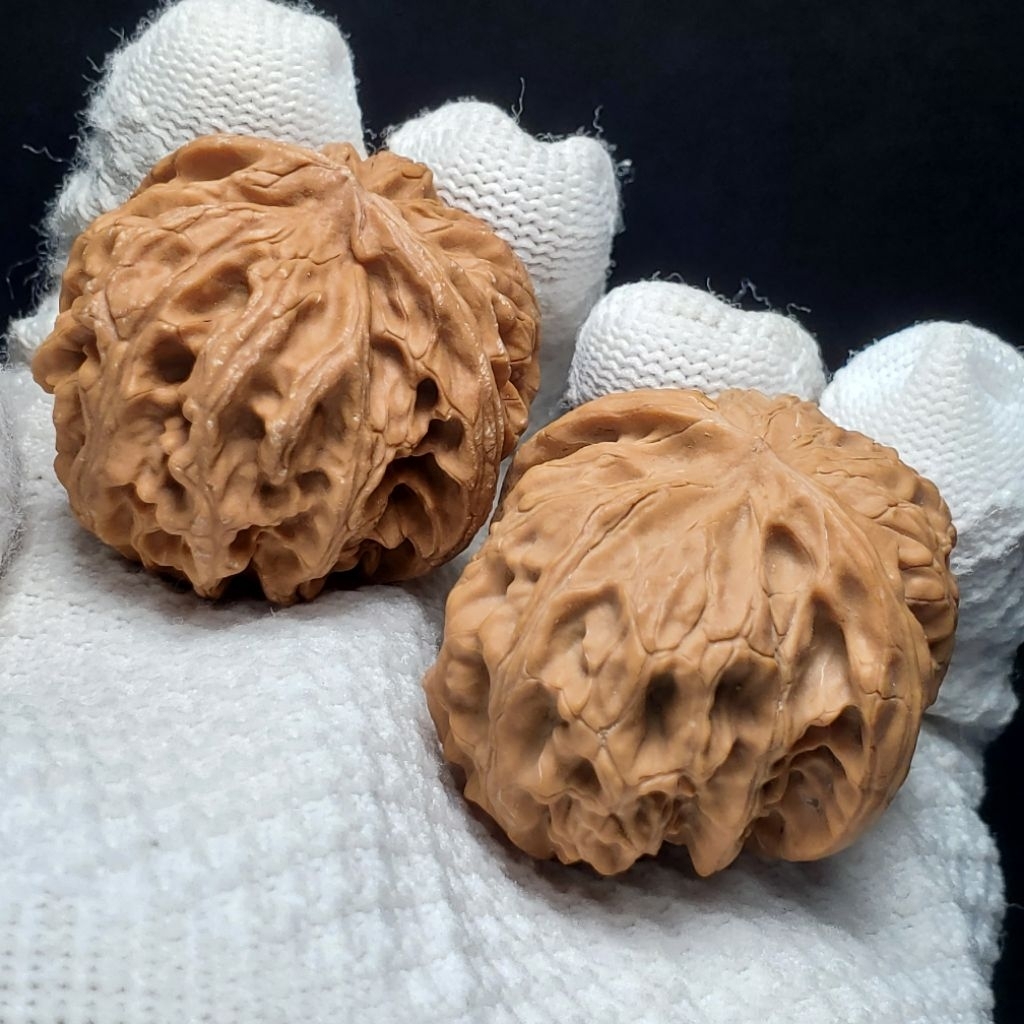 媽我在玩的不是吃的核桃啦, 線上商店| 蝦皮購物