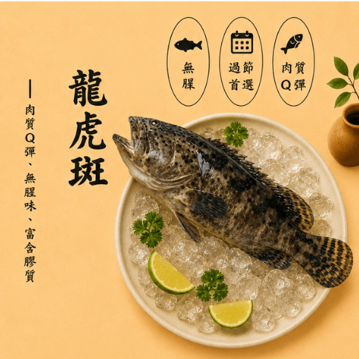 799免運】【漁家小妹】龍虎石斑石斑龍虎斑750g 珍珠斑老虎斑石斑魚珍珠