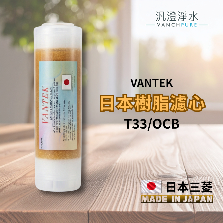 【汎澄淨水】VANTEK 10吋 日本三菱樹脂 OCB / T33 / 大T33 樹脂濾芯 | 蝦皮購物