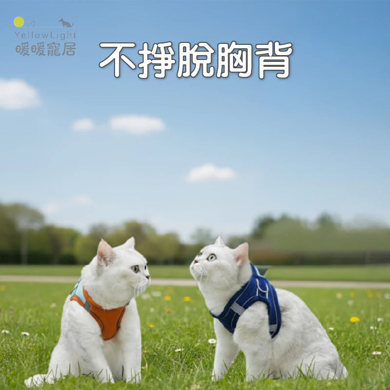 幼犬胸背牽繩組，防掙脫卡扣與反光條設計