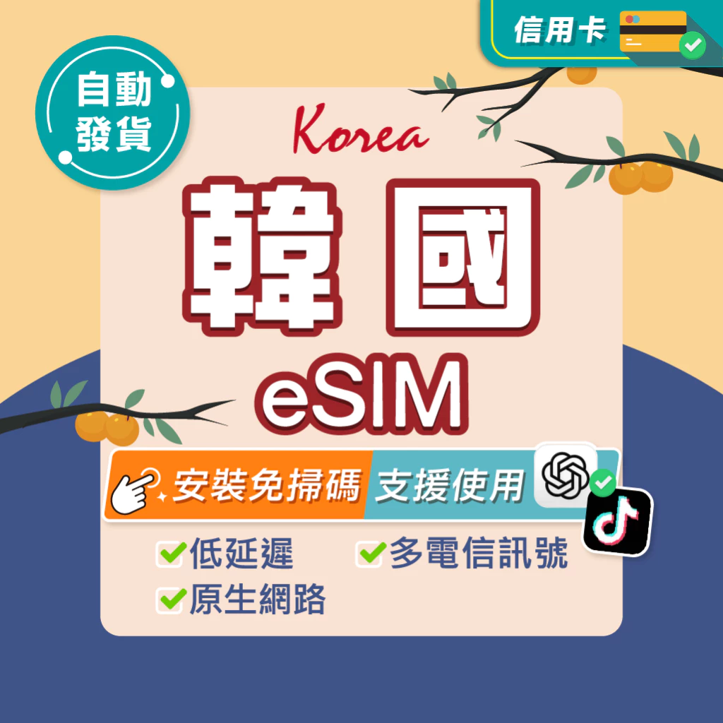 韓國 eSIM 推薦:環亞電訊 24H 自動發貨、首爾釜山上網怎麼選更省事