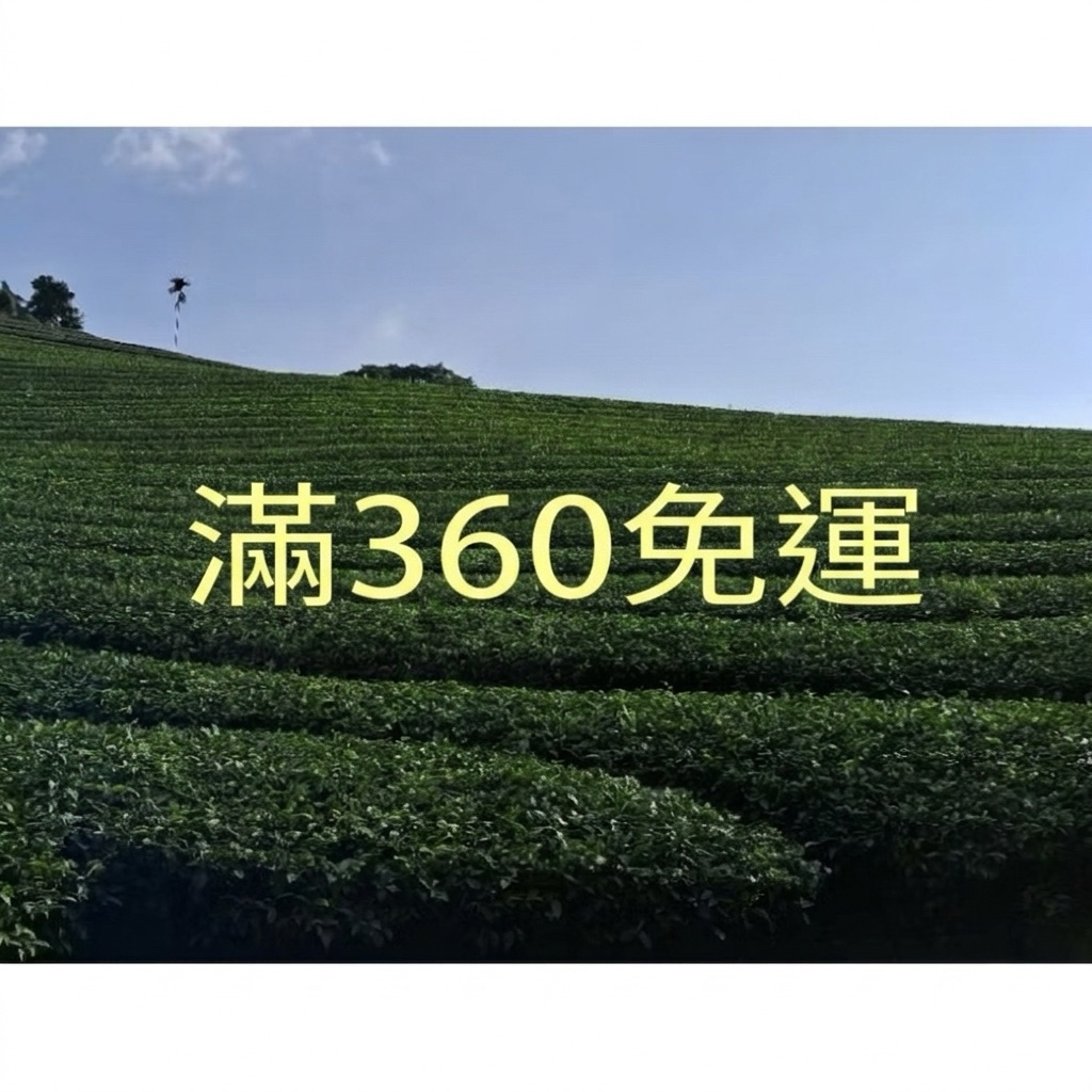 金萱烏龍｜優惠推薦- 蝦皮購物- 2026年6月