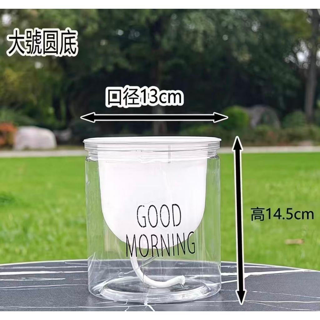 茉莉花　2セットまとめ 香水茉莉花 茉莉花 盆栽 茉莉花 香水茉莉濃香茉莉花盆栽驅蟲輻蚊四季