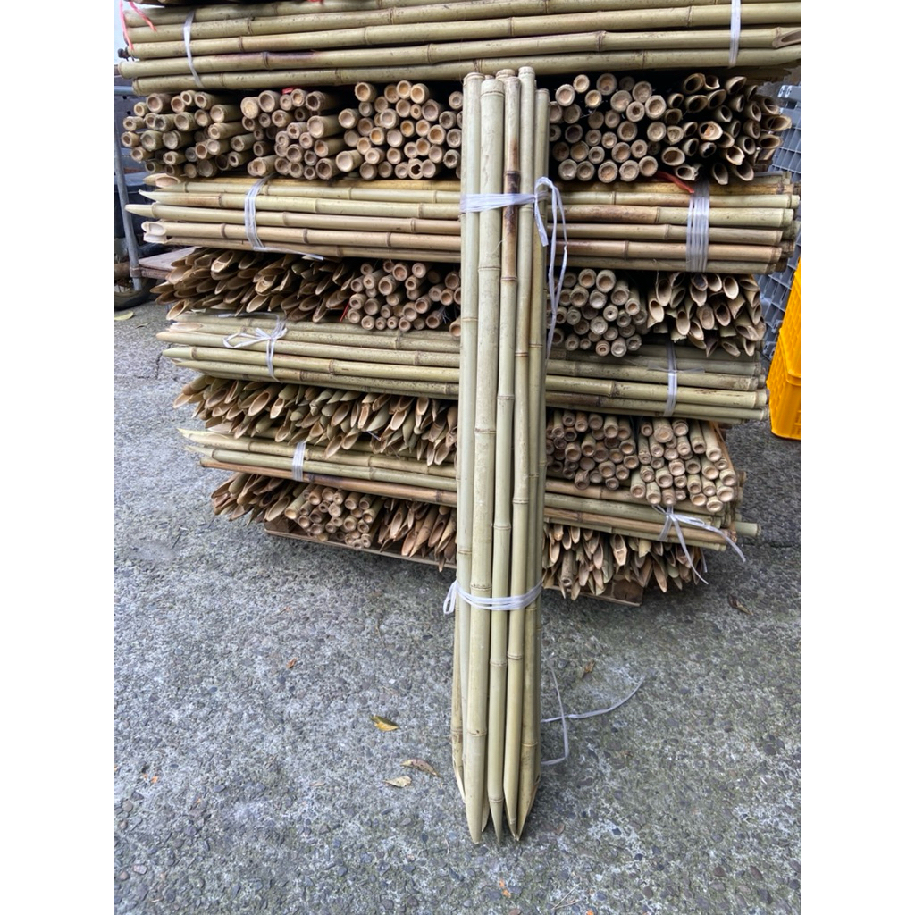 八德國際家庭五金4尺桂竹(削尖) 約120cm 4尺竹子架菜棚桂竹/ 庭園/樹木