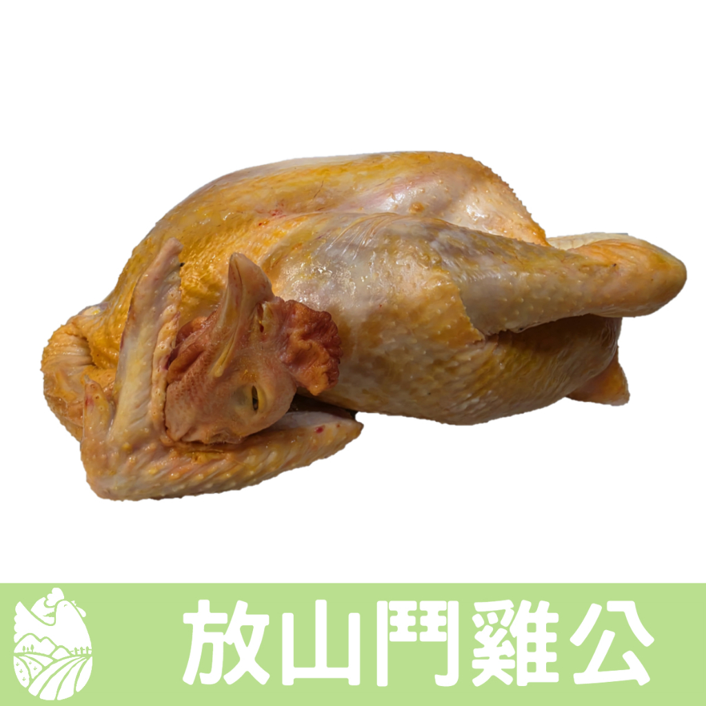 🐓縱谷傍山雞🐓放山鬥雞公3000克 | 蝦皮購物