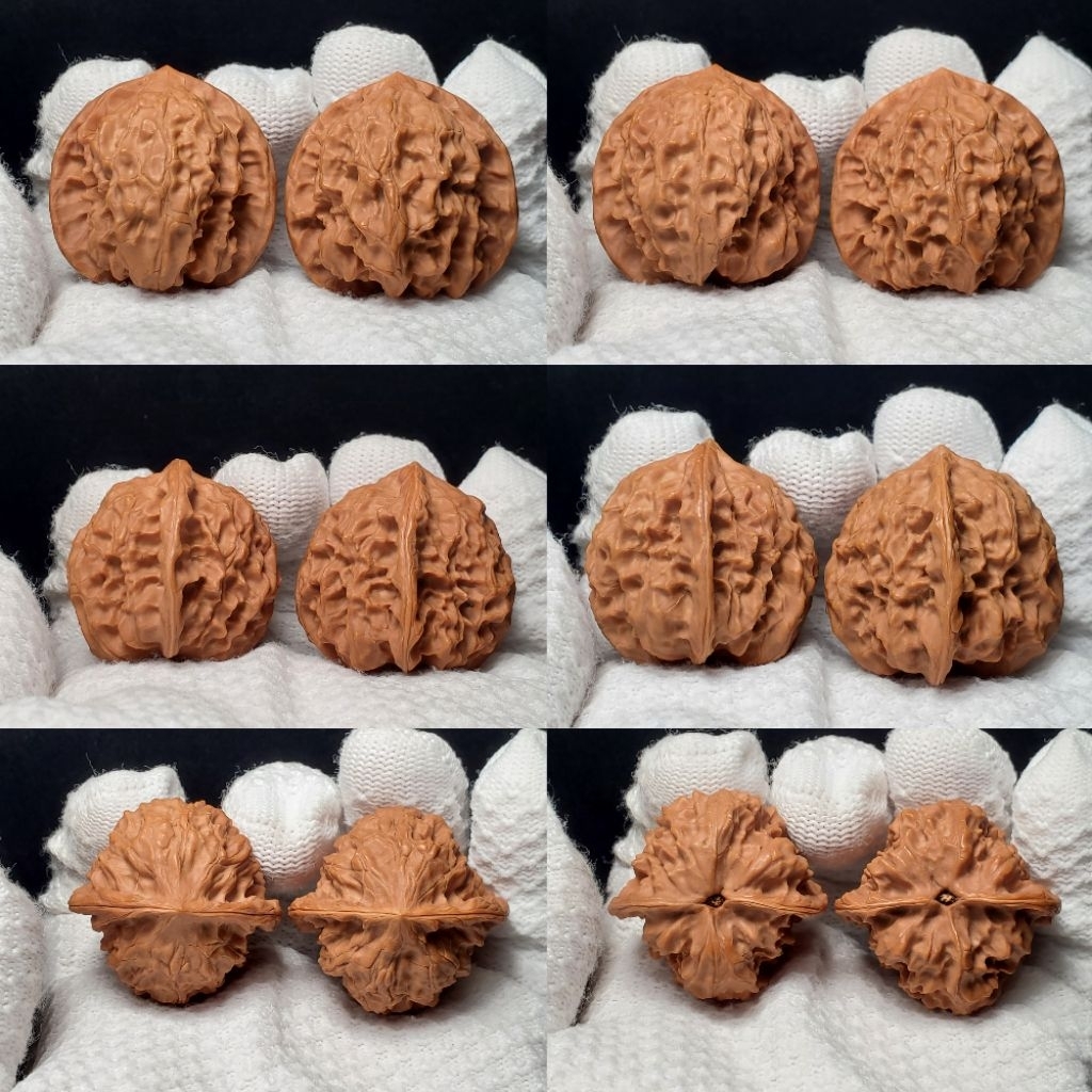 小眾品種文玩核桃練手對】－麻核桃多種品種－文玩核桃/舒壓保健/收藏