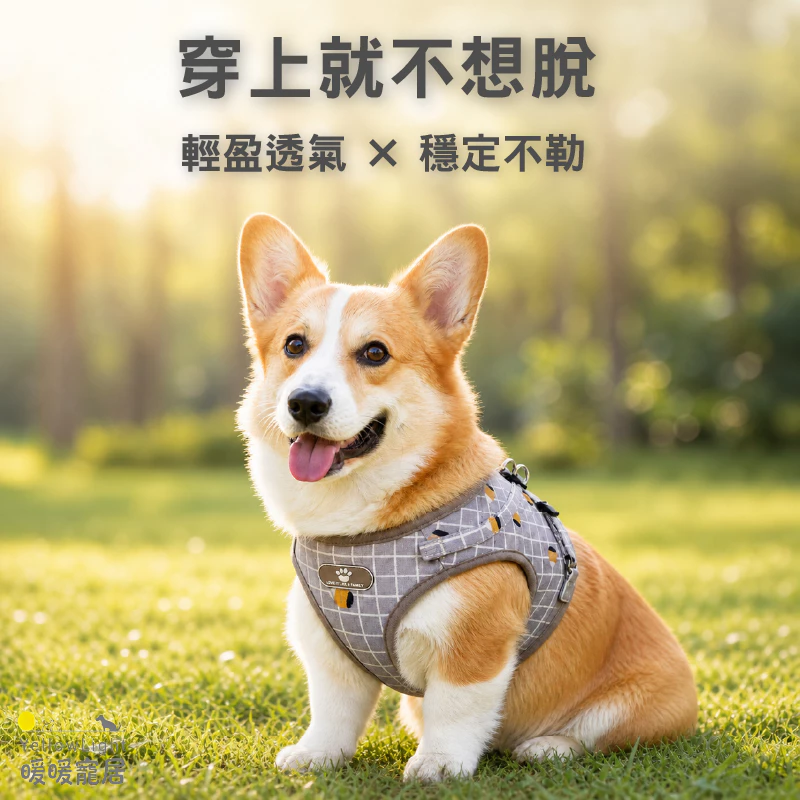 寵物胸背帶附牽繩，可調節魔鬼氈設計，附反光條，適合小型犬外出散步