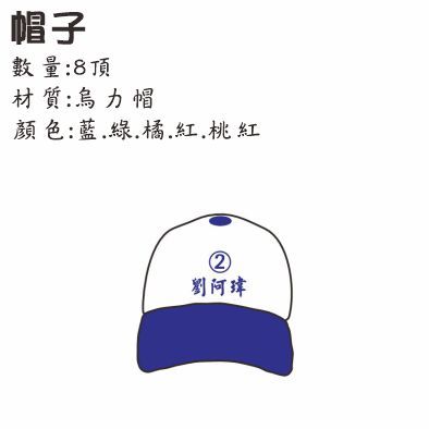 選舉宣傳套組商品頁 套版設計8