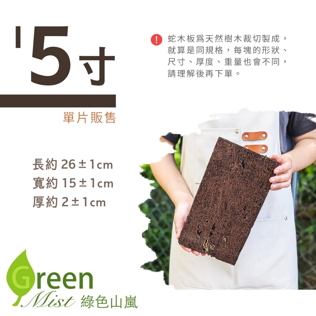 蛇木板天然筆筒樹切塊鹿角蕨蘭科蘭花豆蘭石斛蘭蛇木板單片裝【綠色山嵐