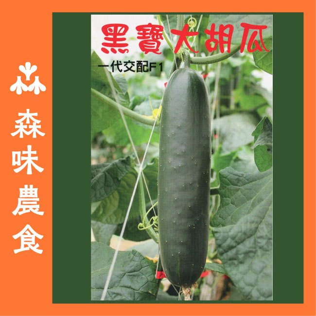 大胡瓜種子｜刺瓜種子｜黑皮｜脆口｜大黃瓜種子｜開心農場｜春夏種｜居家種植｜蔬菜專業戶｜蔬菜種子｜園藝 ｜ | 蝦皮購物