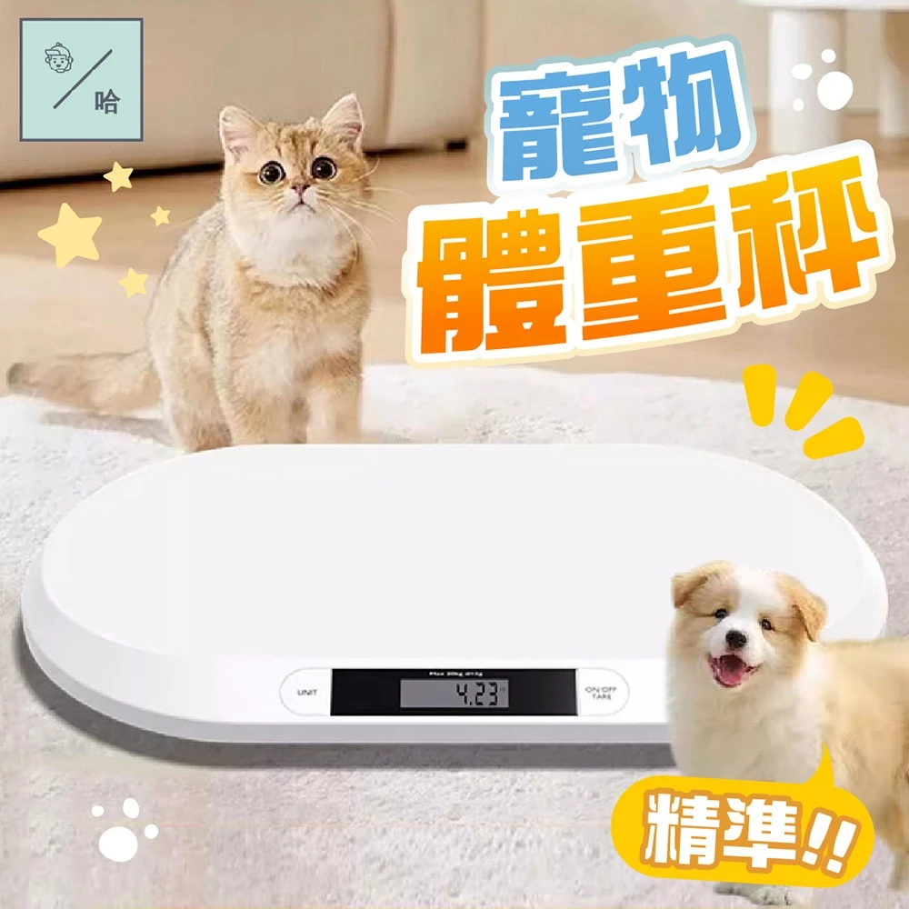 一體式智能磅秤寵物嬰兒專用秤圓弧凹面設計