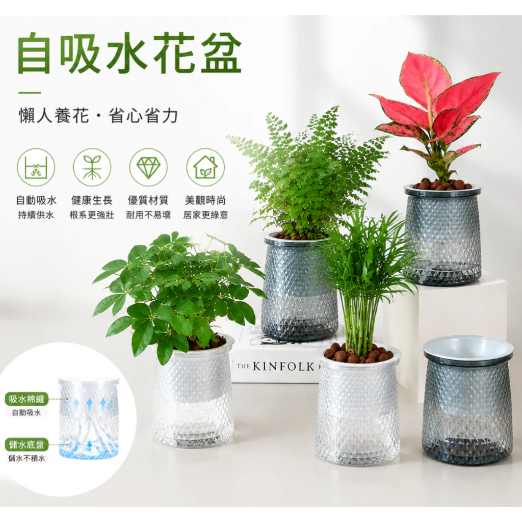 懶人花盆 自吸水花盆 水耕瓶 透明花盆