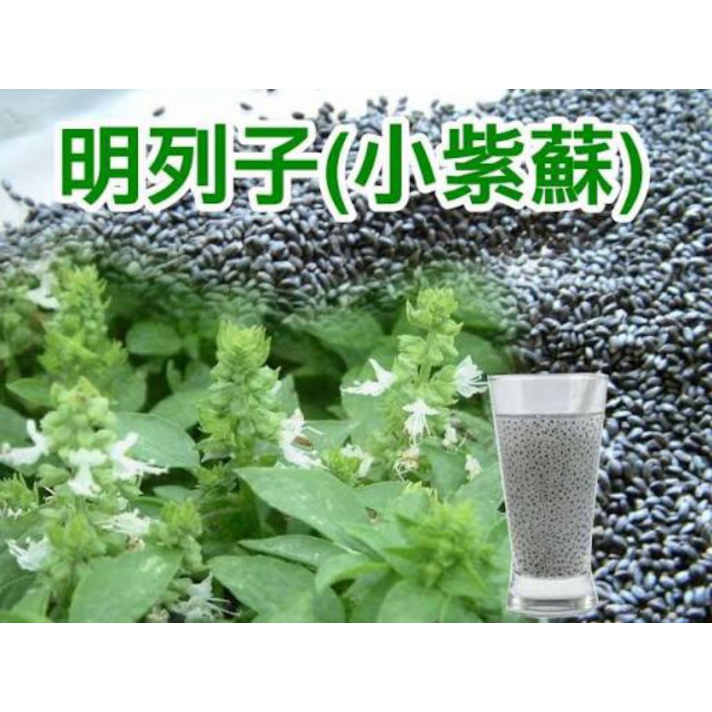 羅勒籽600公克！頂級小紫蘇（高雄橋頭區現貨）順香堅果 | 蝦皮購物