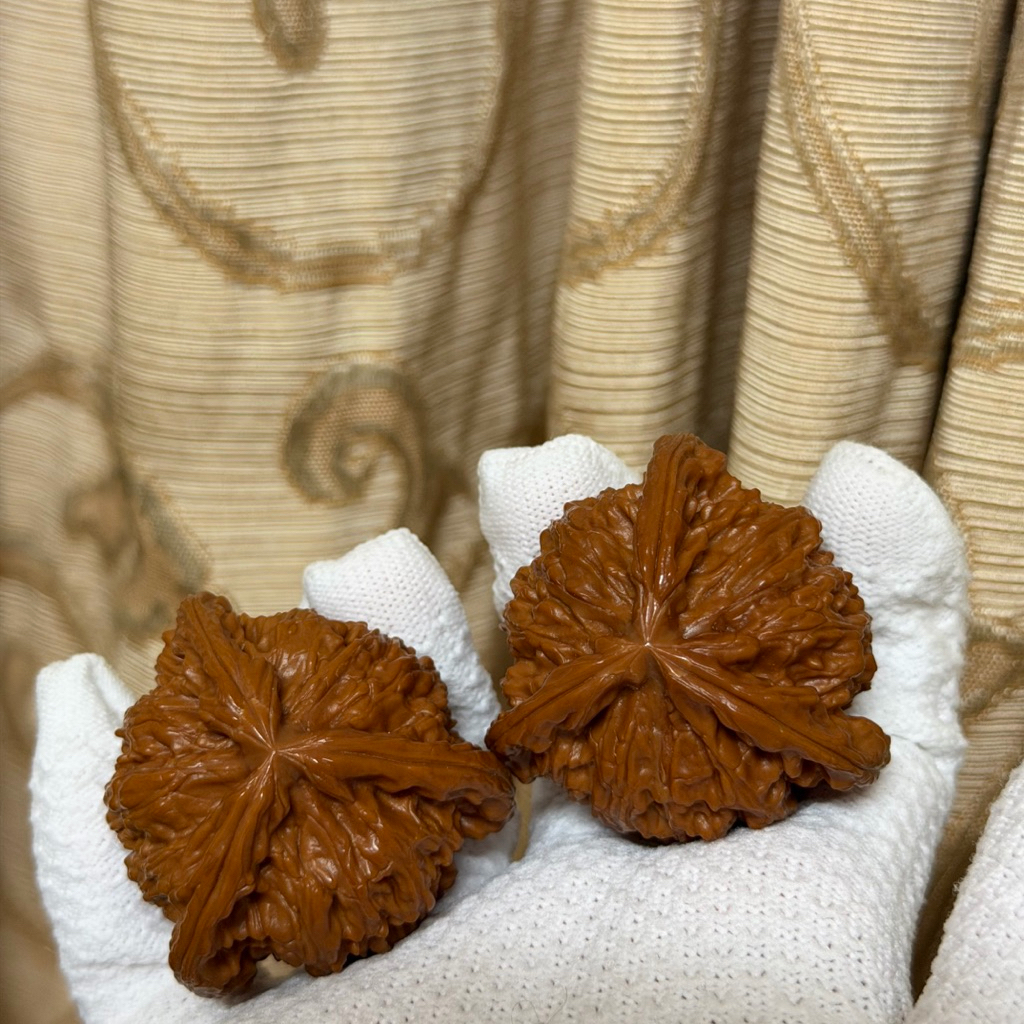 台灣現貨🇹🇼 45尺虎頭三棱正奔核桃文玩核桃麻核桃| 蝦皮購物