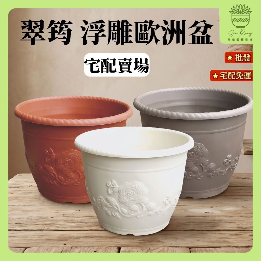 1吋盆- 優惠推薦- 2026年6月| 蝦皮購物台灣