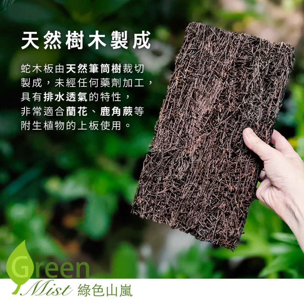 蛇木板天然筆筒樹切塊鹿角蕨蘭科蘭花豆蘭石斛蘭蛇木板單片裝【綠色山嵐