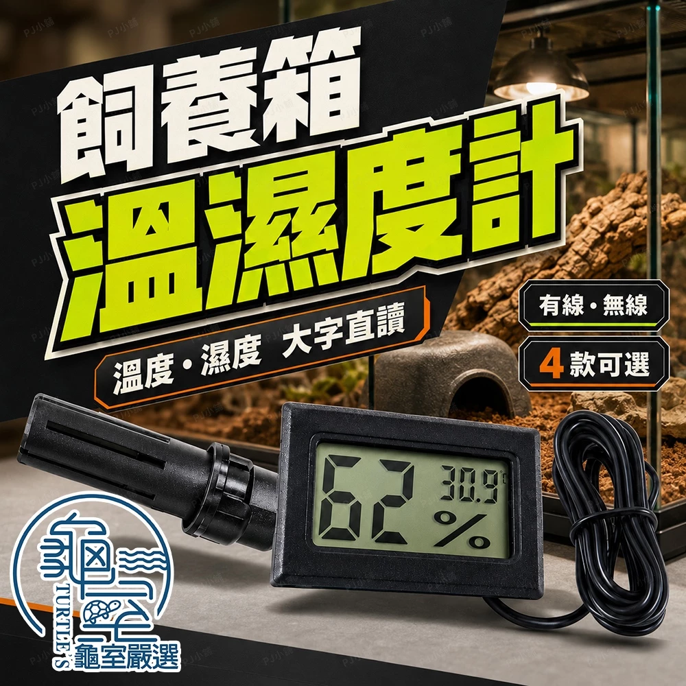 肥尾守宮飼養箱用的電子溫濕度計，溫度與濕度同一台顯示