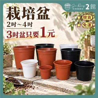 1吋盆- 優惠推薦- 2026年10月| 蝦皮購物台灣