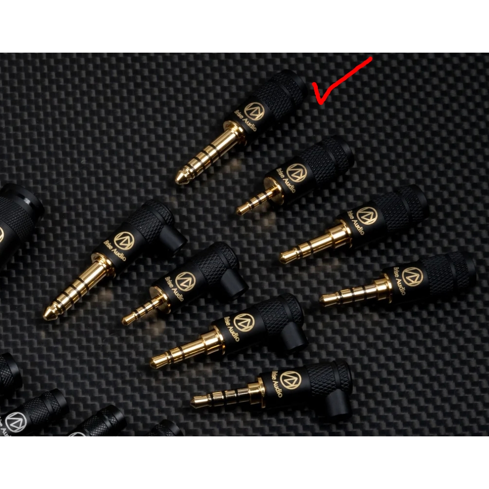 海恩數位】Brise Audio BSEP for IE900 專為森海IE900 耳機調校耳機