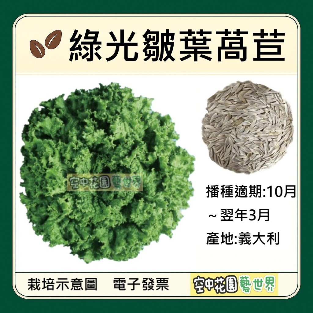 皺葉萵苣｜優惠推薦 - 蝦皮購物 - 2026年7月