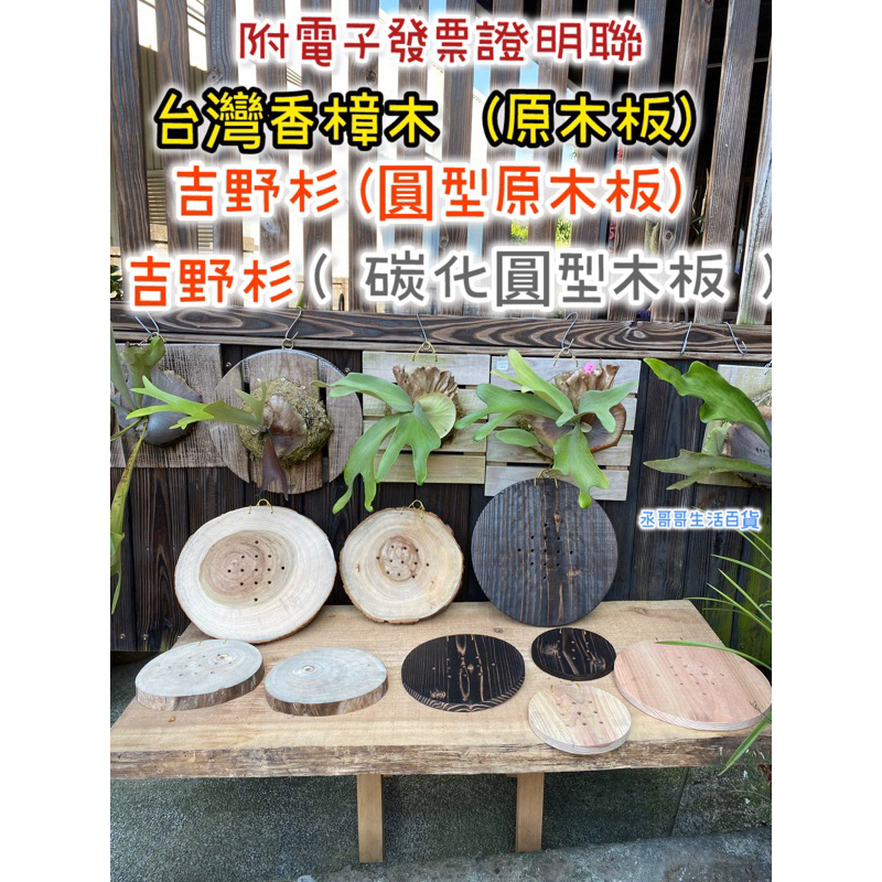 空鳳花器- 優惠推薦- 2026年7月| 蝦皮購物台灣