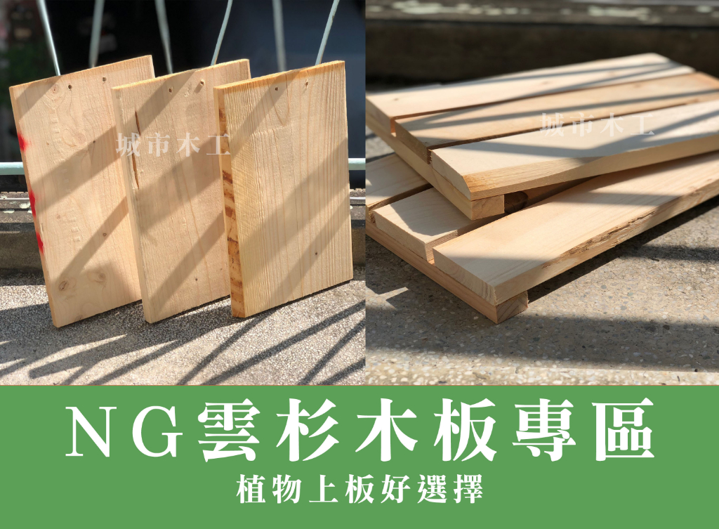 【衛道鹿】NG賣場- 鹿角蕨木板 板材 上板 蕨類 蘭花 植生板 植床板 銀鹿 亞猴 巨獸 女王 | 蝦皮購物