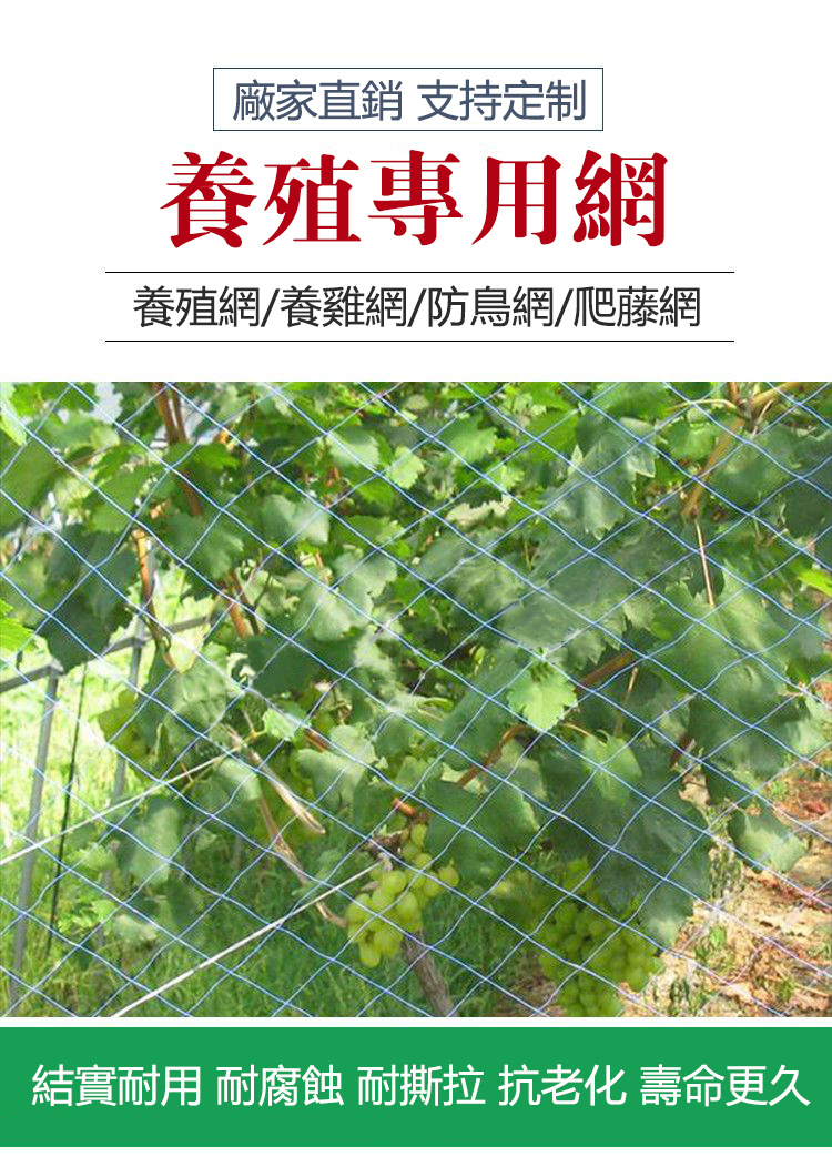 【銳誠】家禽養雞網 菜園網 圍網 欄雞網 山雞防雞網欄 雞鴨網 | 蝦皮購物