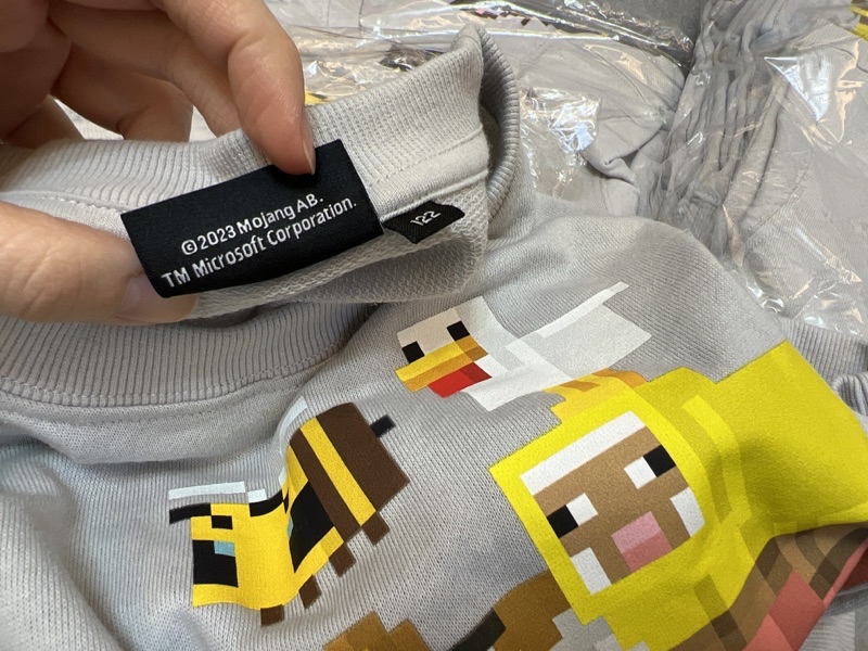 衣斯坦寶｜正版 2023最新款！ 春秋 麥塊 Minecraft 長袖 上衣 長T 衣服 當個創世神 苦力怕 我的世界 | 蝦皮購物