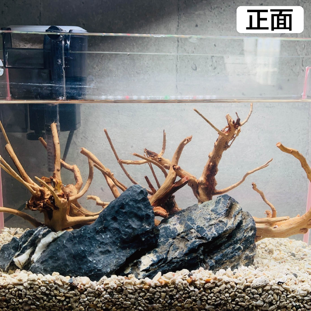 宏洋水族【天然造景沉木／小栖根】水族裝飾品 天然沉木 杜鵑木 水族造景 沉木造景 杜鵑根 水族箱造景 沉木造警 水草沉木 | 蝦皮購物