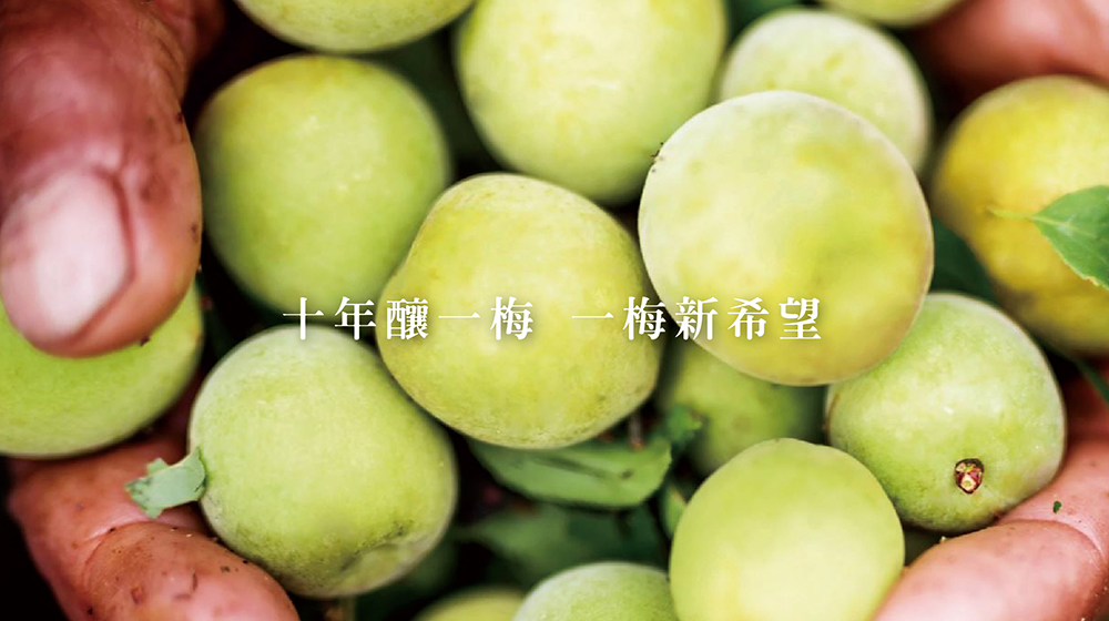 換個角度生活-陳釀老梅果醋醬/梅醬/梅醋醬/梅子醬/老梅醬/果醋醬/沾醬/拌醬/淋醬/果醋/梅飲/梅子/沙拉醬/果醬 | 蝦皮購物