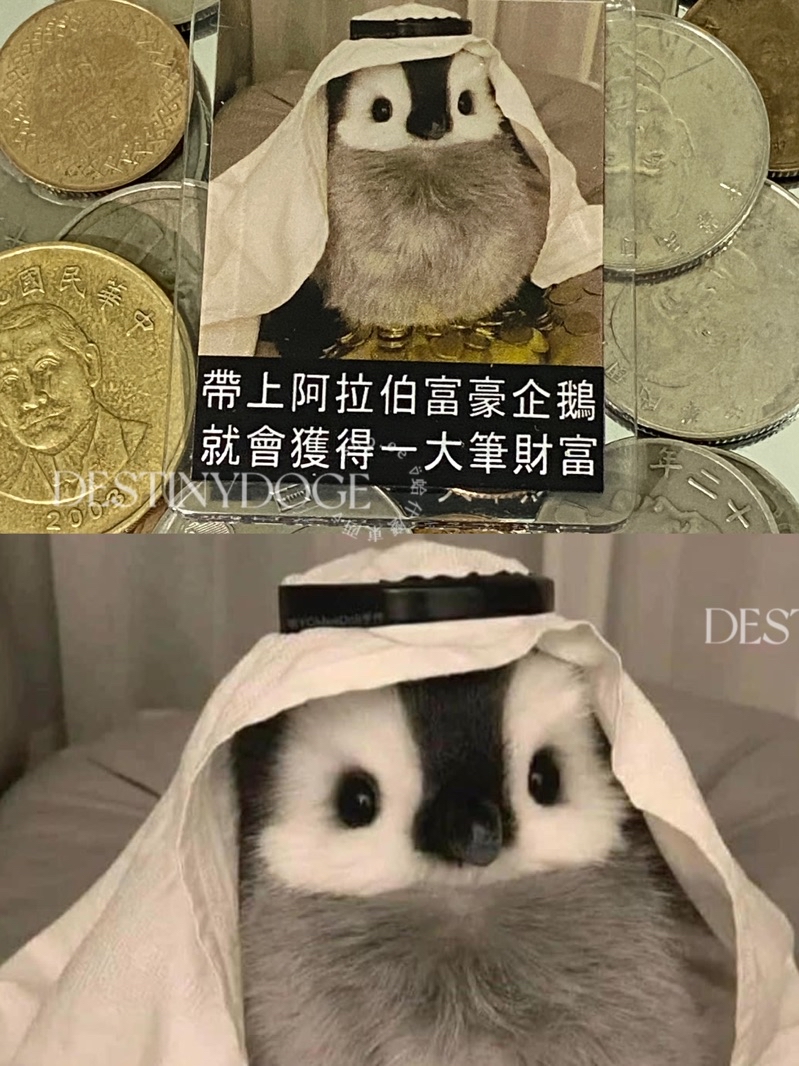 ⍢蛤什麼東西⍢阿拉伯富豪企鵝鑰匙圈吊飾迷因梗圖配件招財開運賺錢財富可愛企鵝搞笑生日禮物現貨， | 蝦皮購物