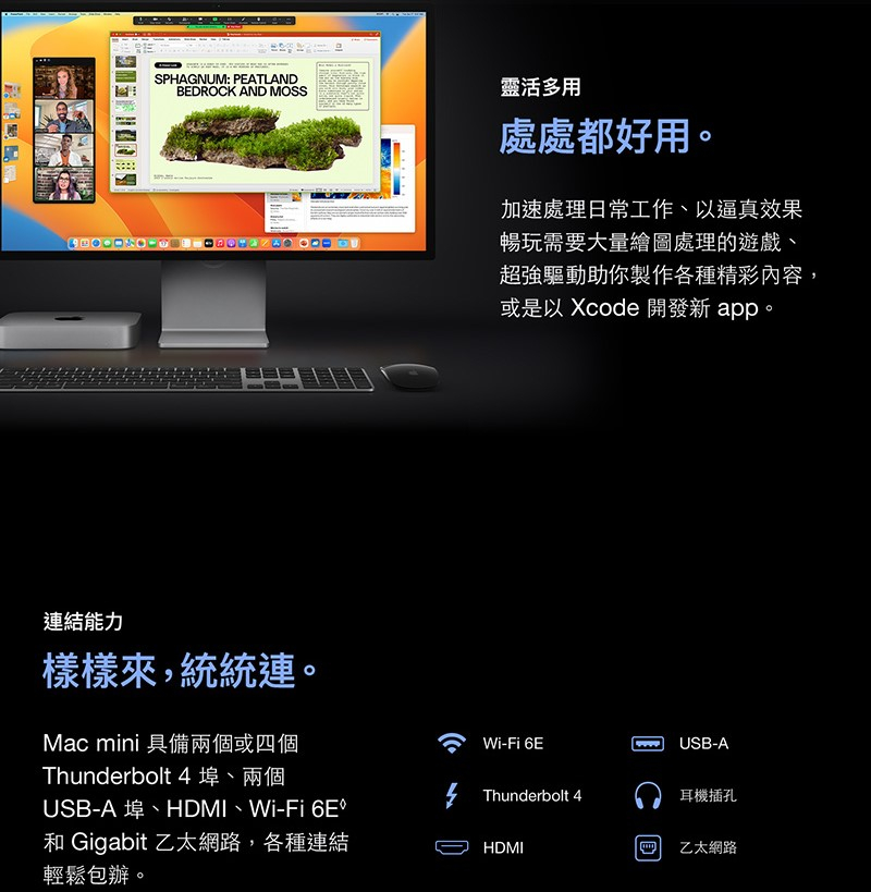 Apple Mac mini M2 8CPU/10GPU/8G/256G 蘋果主機MMFJ3TA 現貨 Apple Mac mini M2 8CPU/10GPU/8G/256G 蘋果主機MMFJ3TA 現貨