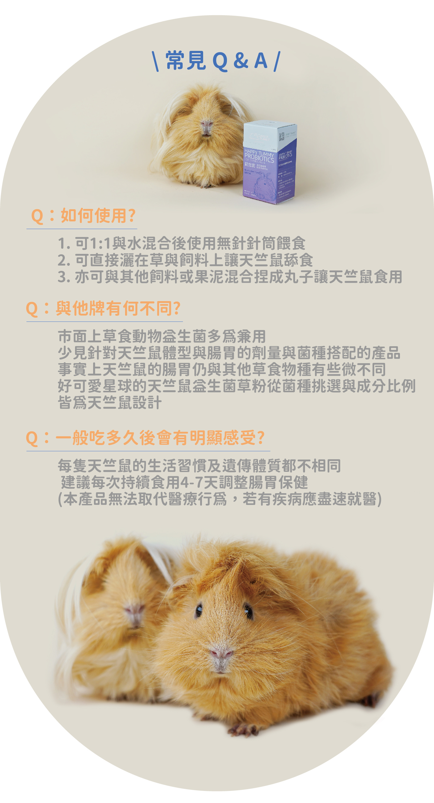 Curated visual reference: 天竺鼠專用益生菌腸胃消化保健草粉 Happy Tummy Probiotics For Guinea Pig Photo Inspiration