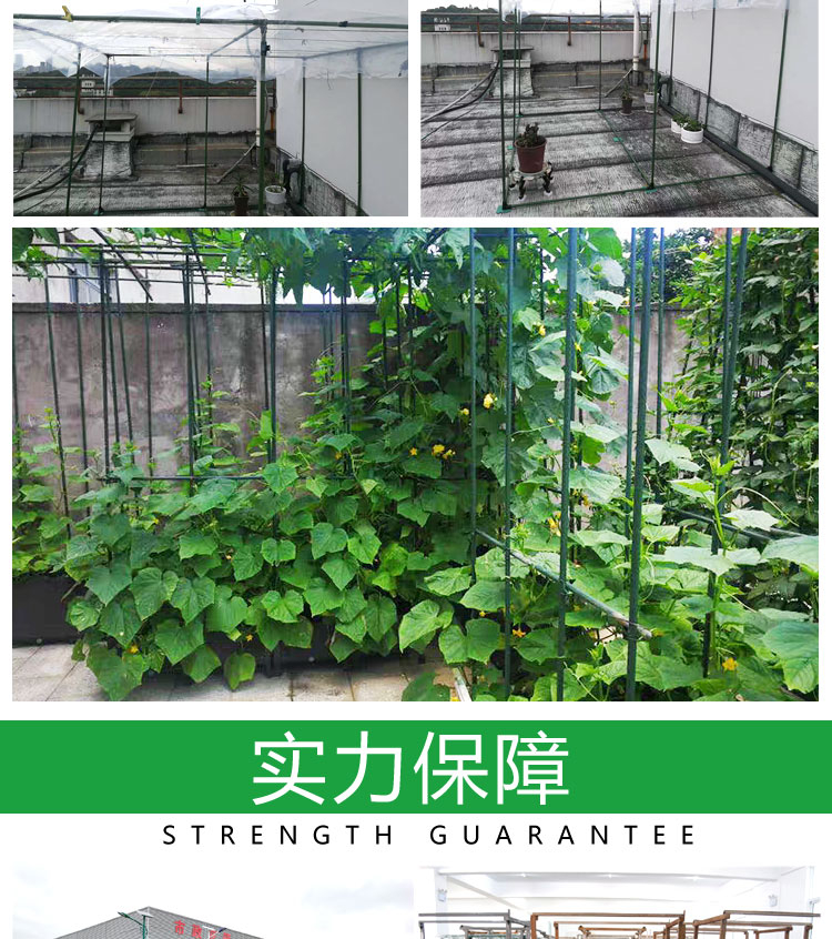 【哆啦】 爬藤支架 瓜架 藤架 攀藤架 最粗 藤管架 尺寸多 爬藤水果架 包塑鋼 攀藤管 綠竹架 藤蔓 【10支起發】 | 蝦皮購物