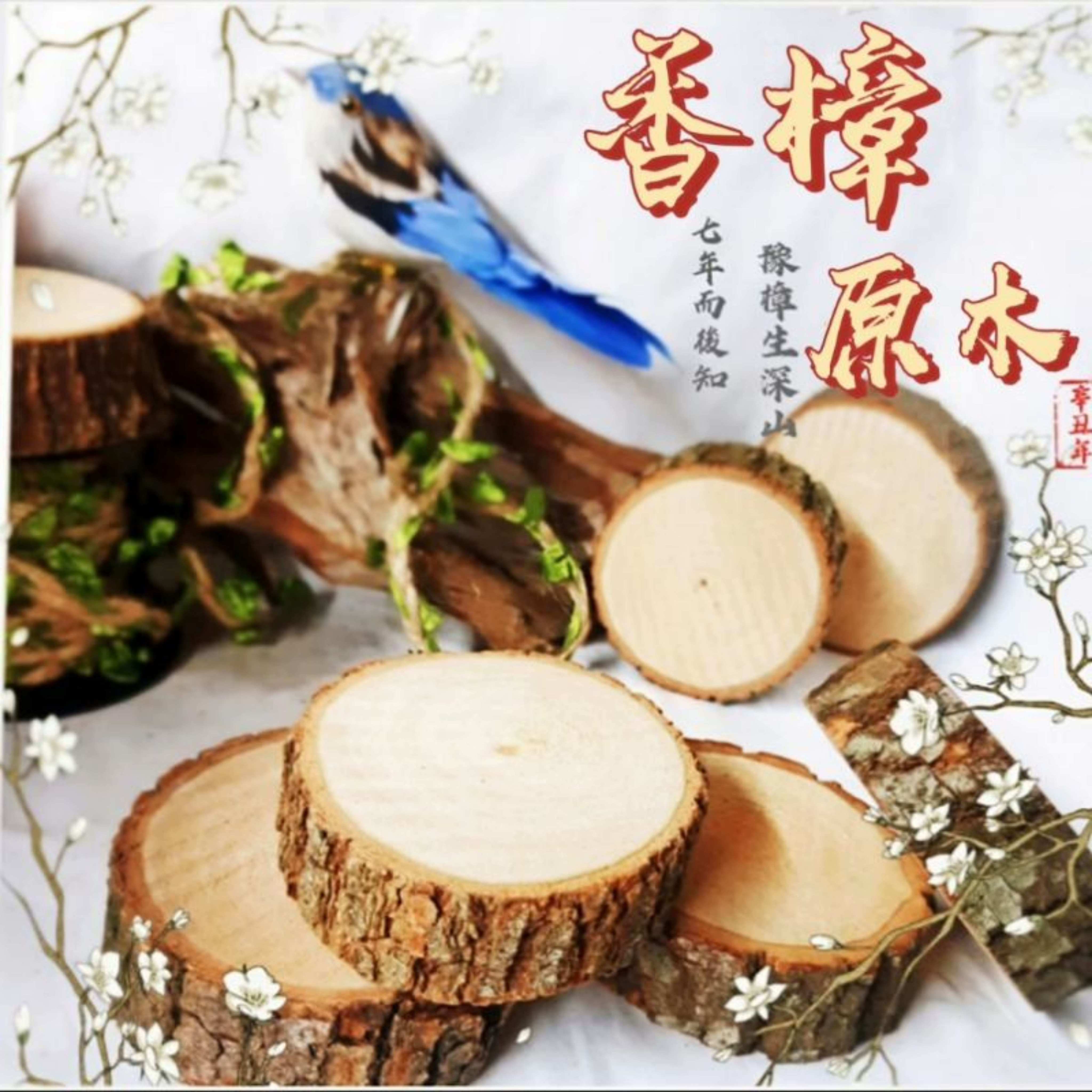 🌲《直徑6~24公分》天然實木 香樟木 樟木片 樟木球 原木片 圓木片 原木DIY材料 實木底座 隔熱墊 底座 | 蝦皮購物