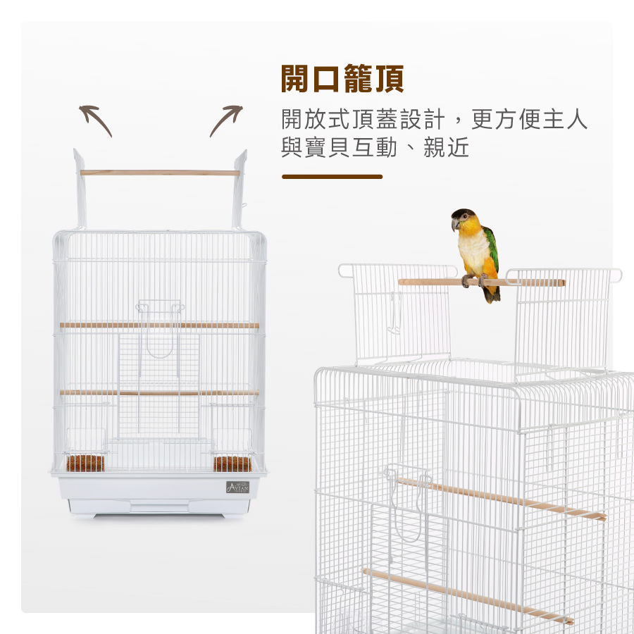 大鸚帝國】AVIAN WORLD / 中小型鸚鵡籠（4535 方頂籠）/ 虎皮
