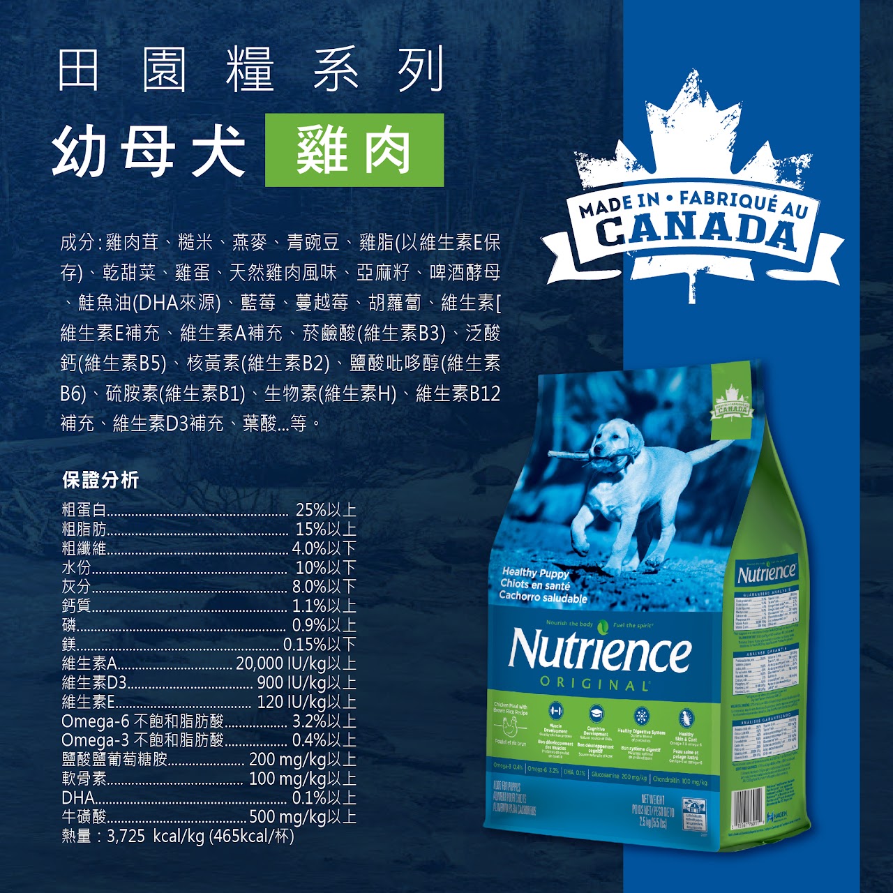 【福利優惠 送鮮肉餐盒+潔牙骨】Nutrience 紐崔斯 | 田園糧低敏 …