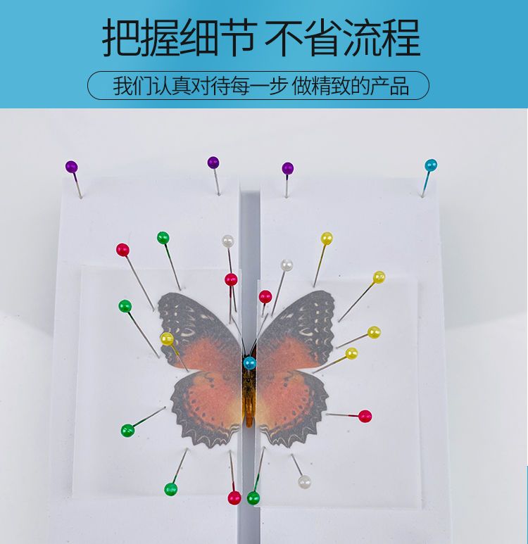 大　中　小　標本箱　展翅板 大 中 小 標本箱 展翅板