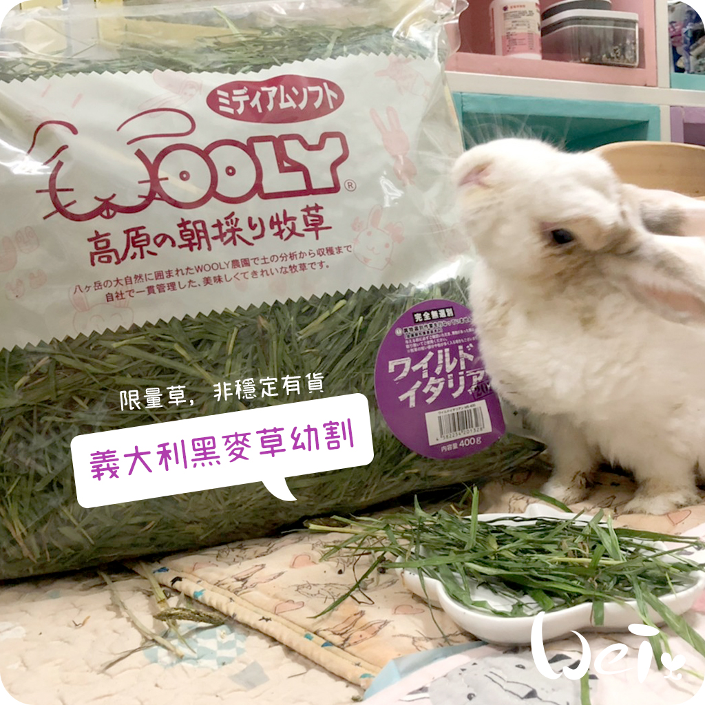 JOLLY ワイルドイタリアン 乾燥牧草 400g うさぎ｜ウーリー｜牧草｜ワイルドイタリアン ワイルドソフト