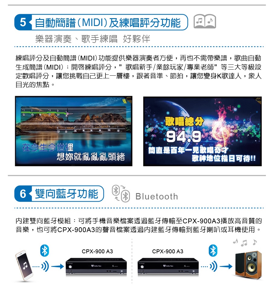 金嗓 CPX-900 A3 家庭劇院型伴唱機