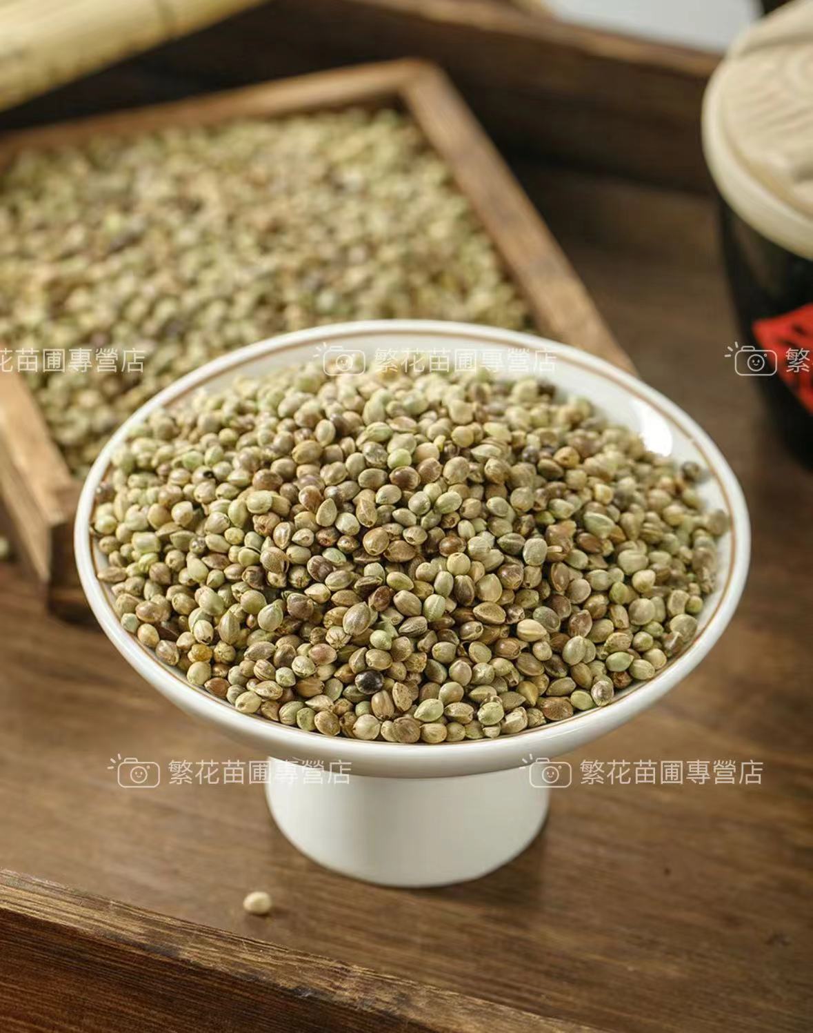 💥💥【火麻仁種子】正宗火麻仁 中藥材火麻子 通腸潤便 火麻仁 火麻仁茶 火麻籽四季常青 四季播種 遇土就活 降火茶仁種子 | 蝦皮購物