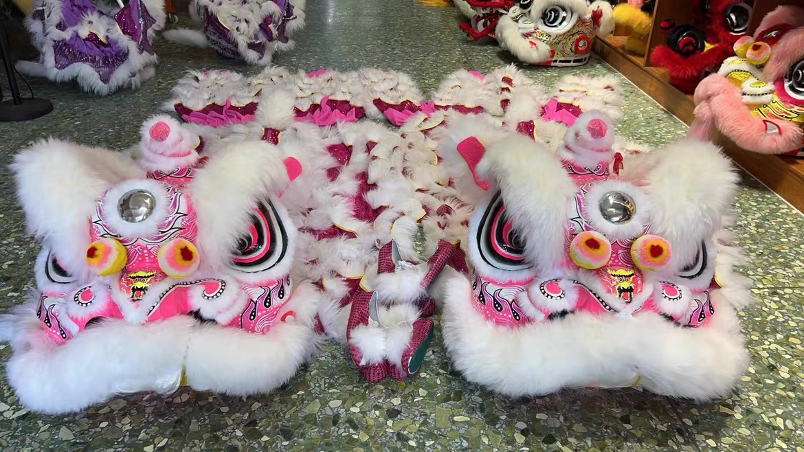舞獅醒獅南獅行出售正宗南獅 金黃醒獅 南獅行 醒獅獅頭 南獅道具 舞龍獅名尚旗舰店 | 蝦皮購物